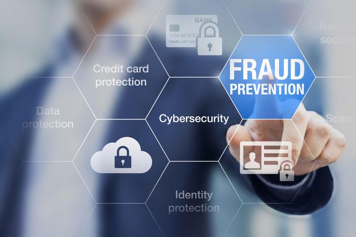 Fraud Detection Systems